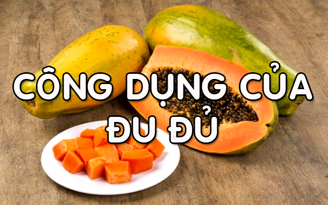 cong-dung-cua-du-du